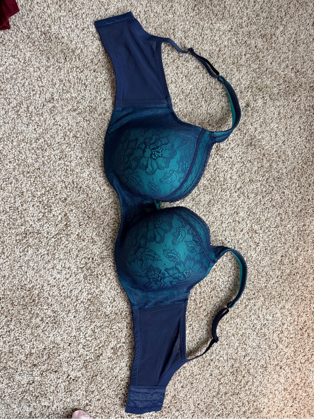 Cacique Teal & Navy Lace Underwire Bra
